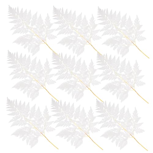 Ramo de helechos secos naturales para decoración miniatura 1