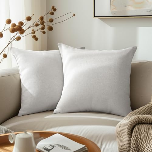 ENCASA Homes - Juego de 2 Fundas de cojín Decorativas de Chenilla Fina, Color Blanco, 50 x 50 cm, Textura Lisa, Suave y Lisa, cojín Decorativo Cuadrado para sofá, sillón y Cama
