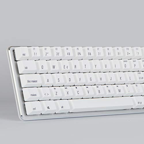 Qisan Tastiera per Giochi Meccanici Tastierini per tastiere PBT 69 Tasti Interruttore Gateron Brown Tastiera per Giochi con Layout IT retroilluminato Bianco-Bianco