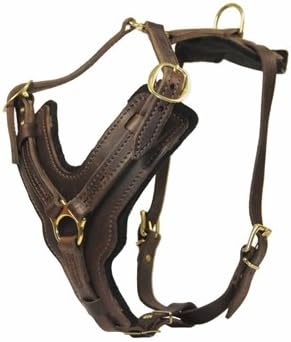 Dean & Tyler The Victory Dog Harness, Large, Brown