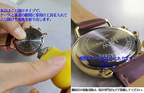 carnival-IW---24----