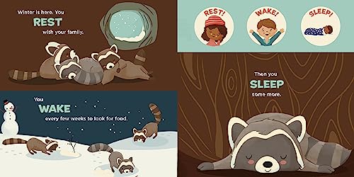 You Are a Raccoon! (Meet Your World) - Image 6