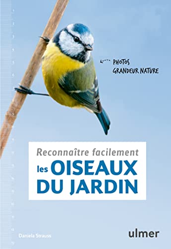Reconnaître facilement les oiseaux du jardin - Photos...