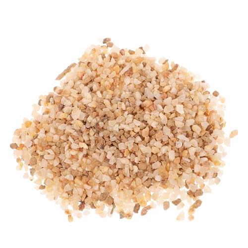 TOYZFRIENDY Gravier Décoratif pour Plantes Succulentes Pierres Naturelles pour Bonsaï et Cactus Galets Uniformes pour Aménagement Paysager et Remplissage de Terreau