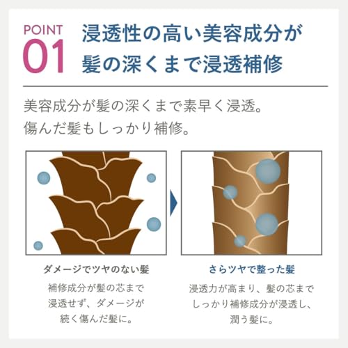 plus eau(プリュスオー) メロウシャンプー450ml・メロウトリートメント450ml・ハイドロミストN200ml の商品画像 8