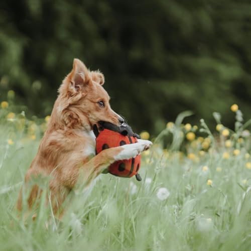 HUNTER Hundespielzeug Florenz Farbe Marienkäfer, Größe 20 cm
