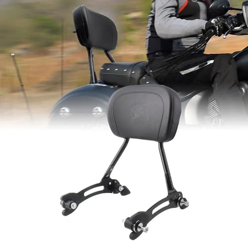 Barres d'appui pour moto contre la fatigue passager sissy bar Indian - 7