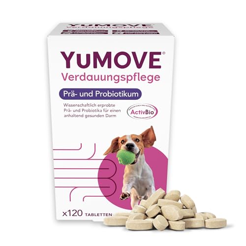 YuMOVE Probiotika Hund Tabletten - 120 Stück - Mit 200 Mio Guten Bakterien Enterococcus faecium & ActivBio Prebiotika MOS scFOS Beta-Glucane - Hund Darmflora Aufbauen & Natürliche Verdauungsbalance