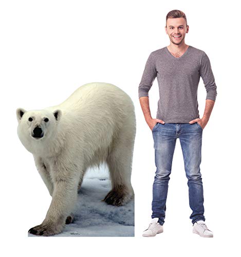 Image of Cardboard People Polar Bear Life Size Cardboard Cutout Standup