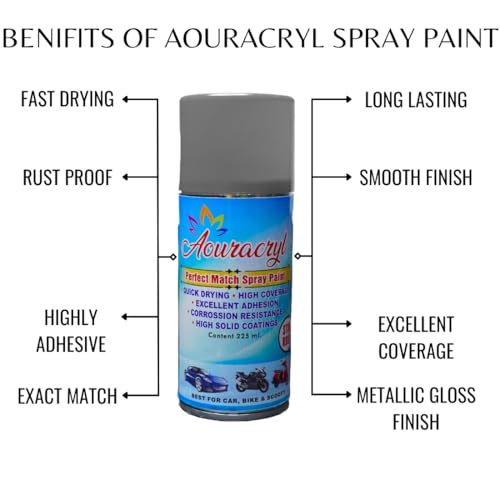 Image of PU Spray Paint Arctic Silver (RC Colour Name), Compatible for Tata Cars - 225 ml (Pack of 1-Pcs) Polyurethane