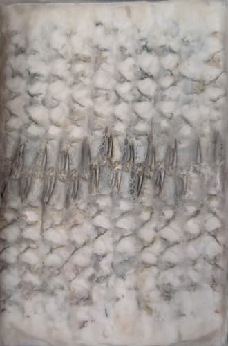 L΂ oiC 13/15TCY 20 440g×30P Ɩp Ⓚ CV tCp VՂ Gr`