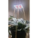 DOMMIA植物育成ライト、あたたかい白色 調光可能な植物育成 led、光学レンズ付き全スペクトル、タイマー付き植物用、アダプター付きUSB育成植物 led