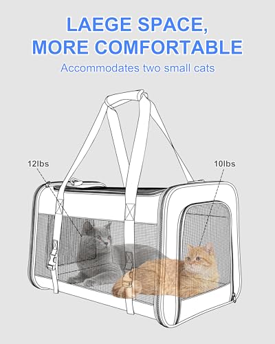 Soft-Sided Large Cat Carrier for 2 Cats, Spacious Foldable Pet Travel Carrier for Large Cats up to 25 Lbs, Double Cat Bag with Shoulder Strap, 20x13x13 Inch, Fits Maine Coon and Small Dogs, Blue - Image 5