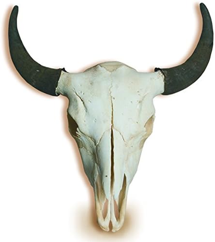 Amazon ミズーリ川純正バッファロースカル インテリア オンライン通販 Amazon ミズーリ川純正バッファロースカル インテリア オンライン通販