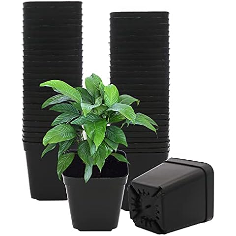 Plastic Square Plant Pots 7cm 50 Pcs Succulent Planter Nursery Pots for Flower Staring Seedling Cover