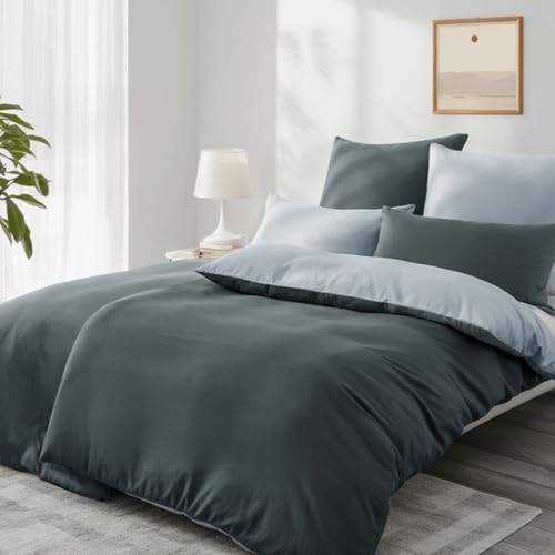 Aisbo Bettwäsche 135x200 4teilig Anthrazit Grau - Bettwäsche Sets 2 Bettbezüge 135x200 cm + 2 Kissenbezüge 80x80 cm, ÖKO-TEX Wendebettwäsche Weich Mikrofaser mit Reißverschluss