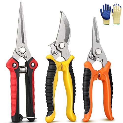GEEDIAR Garden Secateurs, 3 Pack Pruning Scissors Kit with Stainless Steel Blade Locking Mechanism and Garden Gloves for Fruit Branch, Hedge, Bouquet Making & Vegetables, Plants