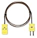 Type K Probe Extension, Mini, 9.8 ft.