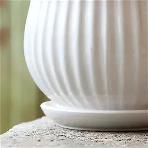 Pot de fleur en céramique blanche avec plateau taille S - 4