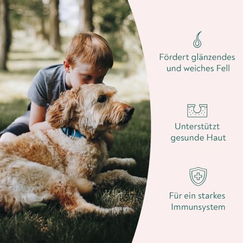 HELLOBELLO Kaltgepresste Haut & Fell Drops für Hunde 2X 350g mit B-Vitaminen & Omega 3 - Glänzendes Fell für Hunde - Für glänzendes Fell Hund, Hautprobleme Hund