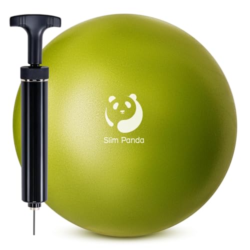 Slim Panda Ballon Pilates Petite,23 cm Anti-Slip Ballon de Gymnastique avec Pompe,Soft Yoga Ball Équilibre pour,Fitness,Entraînement à l'équilibre (Buse...