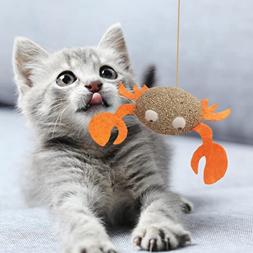 Catnip Cat Brinquedos | catnip interativos para gatos interior,Gatos Molar Catnip Ball Dentes Limpos