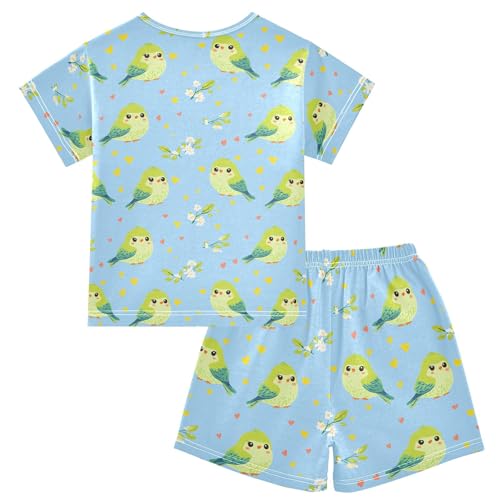 Cute Green Bird Pajama Set Pajamas Sleepwear Nightwear Loungewear Clothes Set B04046652
