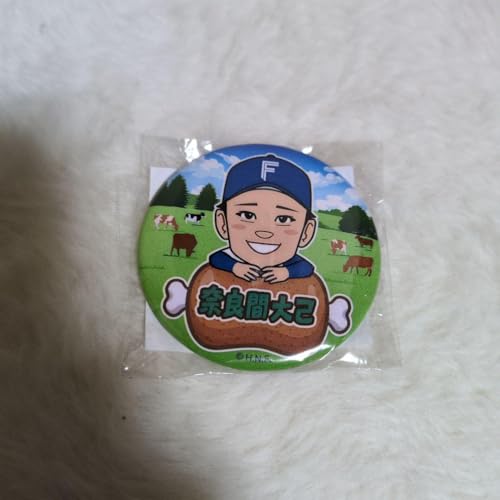 kC{nt@C^[Y Gʃob` ޗǊԑ K`K`