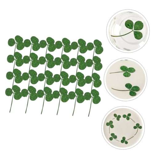 24 hojas secas de trébol prensado natural para manualidades miniatura 6