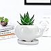 GeLive White Elephant Succulent Planter Ceramic Plant Pot Window Box with Saucer Animal Indoor Tabletop Decor Fun Gift 5 Inch (Mom Elephant)