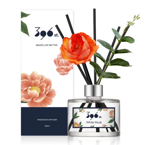 Amazon.com: 396 st.