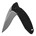 Divers Kershaw KS1620 Cuchillo Tascabili,Unisex - Adulto, Negro, un tamaño