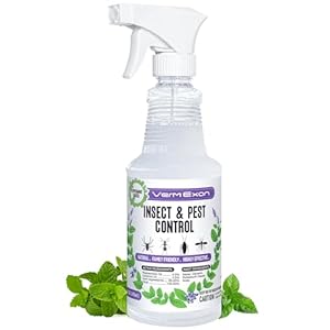 Peppermint Oil Insect & Pest Control Spray – 16oz Natural Plant-Based Bug Killer for Spiders, Ants, Flies, and Other Insects, Safe for Home & Kitchen Use