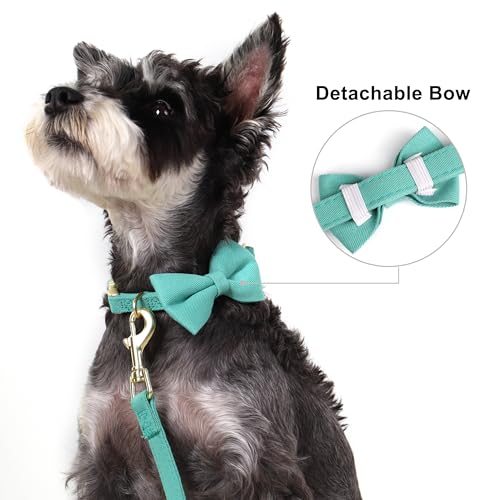 Beirui Adorable Small Dog Harness Collar and Leash Set,Cute Puppy Harness Set with 3 Bows for Small Dogs,Shih Tzu,Dachshund,Adjustable Step-in Vest for Daily Walking,Parties&Holiday Outfits(Teal,S) - Image 4