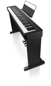 CASIO SDP-s110 専用スタンド付き 楽天市場】カシオ CDP-S110 専用スタンド付き（CS-46P） CASIO