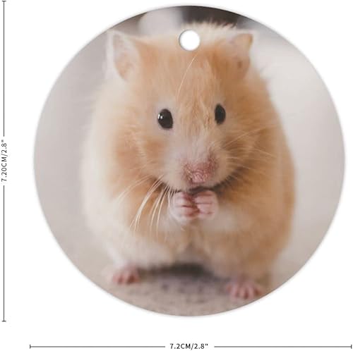 Vista 20 de Adorno de Navidad de gato atigrado decorativo colgante adorno de árbol de Navidad, adornos de recuerdo de Navidad, adornos de recuerdo de 3 pulgadas