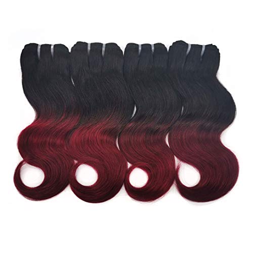 Liang Dian HAIR_EXTENSION (10/10/10/10 1B/99j)