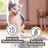 catz finefood Kitten Multipack Katzenfutter nass - Feinkost Kitten Nassfutter für Junge Katzen ohne Getreide und Zucker mit hohem Fleischanteil (6 x 200g Dosen)