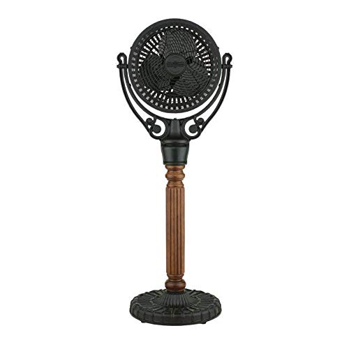 Fanimation CASA Bruno Ventilador de pie Old Havana, Caja de Motor y pie de Color Negro Cover