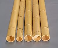 1 Stück Bambusrohr Moso 100cm, Durchmesser 12-15cm, gelblich gebleicht – Ansicht 7