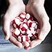 Red Bird Soft Peppermint Candy Mints, Individually Wrapped, 1000 Ct
