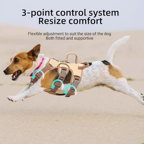 LiebeDD Geschirr Hund Klein, Sicherheitsgeschirr Hund Ausbruchsicher, Hundegeschirr Gepolstert mit 2 Griff und 2 Leinenclips, Anti Zieh Geschirr für Mittelgroße Kleine Hunde und Welpen (Beige, S)
