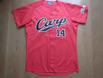 41r-YcbScLL._AC_UF350,