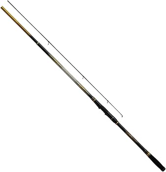 磯竿　ダイワ　トーナメント制覇1号–53 Amazon | ダイワ(DAIWA) 磯竿 トーナメント磯 4-53遠投・K | ダイワ