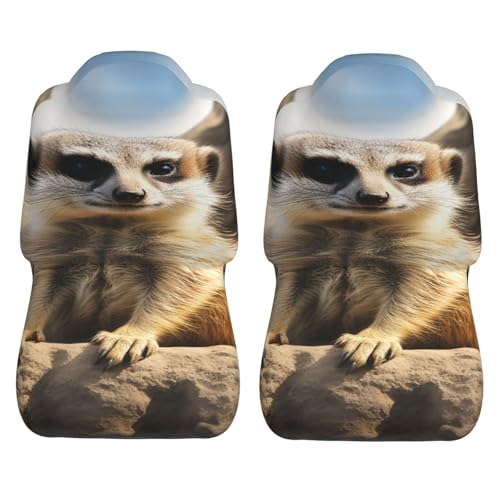 Housses de siège voiture suricate : lot de 2 protections lavables