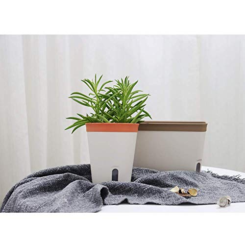 Gardenbasix Self Watering Planter Rectangle Window Box Set Of 6 For Indoor Plants Home Garden Modern Decorative Flower Pot For All House Herbs Succulents (6, Clay) #TOP7