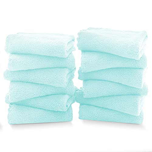 TENSTARS 12 Pack Premium Washcloths Set - Quick Drying- Soft Microfiber Coral Velvet Highly Absorbent Wash Clothes - Multipurpose Use as Bath, Spa, Facial, Fingertip Towel (Frozen Blue)