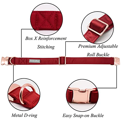 Lionet Paws Hundehalsband mit Fliege - komfortable Seide Weihnachten Hundehalsband mit abnehmbaren Fliege für kleine Hunde, Hals 25-40cm