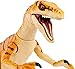 Mattel Jurassic World Toys Amber Collection Tiger Velociraptor 6-in Dinosaur Action Figure, Movie-Authentic Detail, Movable Joints & Figure Display Stand, Collectible Gift 8 Years & Up