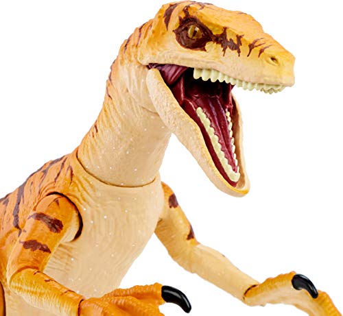 La Mejor Selección de Velociraptor para comprar online. 15 Imagen adicional